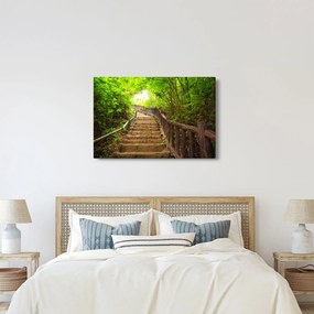 Kép - Lépcsők a természetben (90x60 cm)