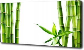 Fotótapéta nagy canvas falikép Bambusz 120x60 cm