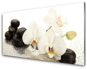 Üvegkép Stones virág növény 125x50 cm