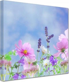 Vászonkép 20x20 Finom virágok