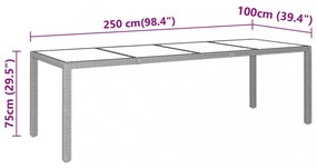 szürke edzett üveg és polyrattan kerti asztal 250 x 100 x 75 cm