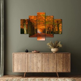 Kép - A Avenue of fák ősszel (150x105 cm)