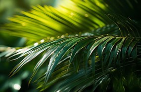 Poszter 91,5x60cm Zöld kondenzáció