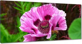 Vászonkép 180x90 Lila virág