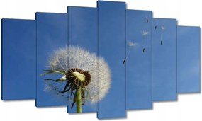 Képek 140x80 Pitypangok papírsárkányok