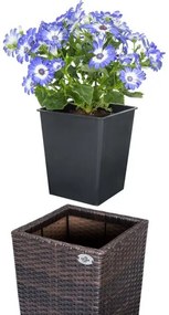 Casaria® 3 db polirattan virágcserep készlet - barna