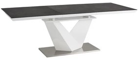 Étkezőasztal Alaras II 120 × 80 cm, szürke / fehér