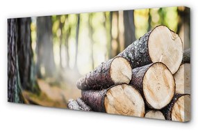 Canvas képek Wood erdő természetvédelmi 100x50 cm