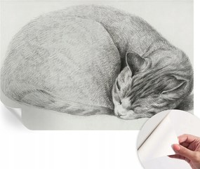 Fotótapéta Fali tapéta Hálószobába és Nappaliba Összecsukható macska 104x70 cm