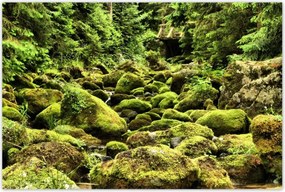 Poszterek 120x80 Tátra Lengyel hegyek Kilátás