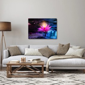 Tavirózsa a vízen képe (70x50 cm)