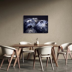 Vízcseppekkel ellátott gyümölcs képe (üvegen) (70x50 cm)