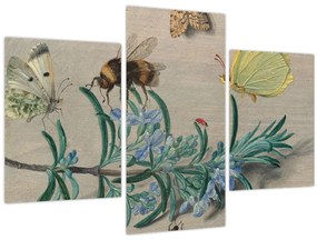 Kép - Jan van Kessel the Elder, Insects and a Sprig of Rosemary, reprodukciók (90x60 cm)