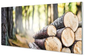 Akrilkép Wood erdő természetvédelmi 125x50 cm 2 fogas