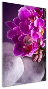 Egyedi üvegkép Rózsaszín orchidea osv-95985968