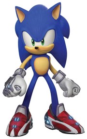 Sonic 3D matrica, 14 x 20 cm