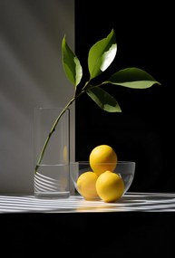 Poszter 67,5x100cm Citrusos elrendezés