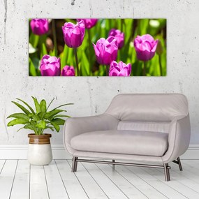 Tulipánok a réten képe (120x50 cm)