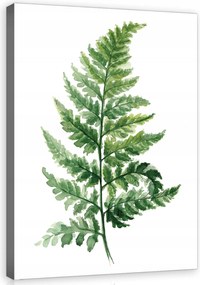Vászonkép 40x60 Páfránylevél akvarell botanikus zöld minimalizmus természet