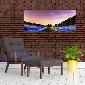 Színes mező képe (120x50 cm)