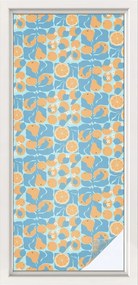 Szélvédőfólia Ablakvédő Hal citrus 50x116 cm