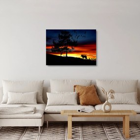 Kép - Farkas sziluettje (üvegen) (70x50 cm)