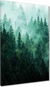 Vászonkép 80x120 Erdő Köd Tájkép Utazás