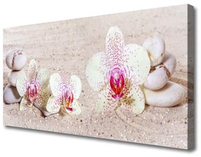 Vászonkép Orchidea Orchidea Sand 125x50 cm