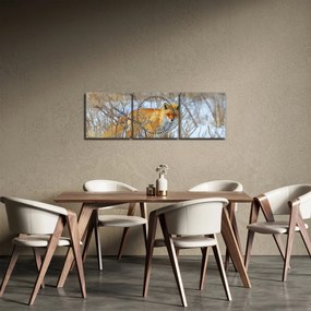 Kép - Róka (órával) (90x30 cm)