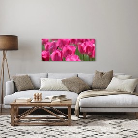 Kép - Rózsaszín tulipánok (120x50 cm)
