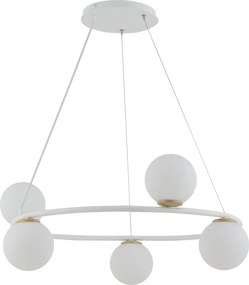 Sigma Lighting GAMA 33385 Függőlámpa 5x12W/G9