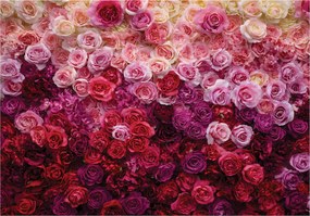 Fotótapéta Rózsák Virágok Természet Hálószoba Nappali Tapéta Flizelina 150x105