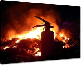 Vászonkép 100x70 Tűzoltó készülék a tűzből