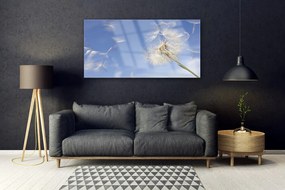 Akril üveg kép pitypang növény 100x50 cm