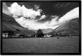 Poszterek keretben 60x40 Bárányok a réten