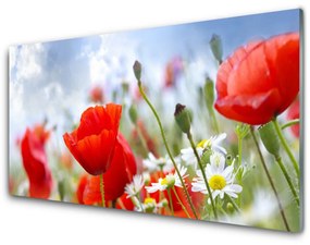 Üvegkép falra Pipacsok Daisies Flowers 100x50 cm 2 fogas