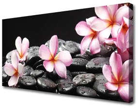 Vászonkép Plumeria virág a fal 100x50 cm