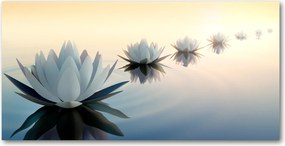 Konyhai panel Lótuszvirágok 100x50 cm Ragasztó