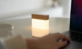 Gingko CuraCheese lámpa, több változatban - Ginkgo variáns: hamu