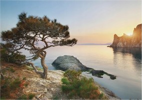 Dekoratív fotótapéta Hálószobába Nyugodt természet 208x146