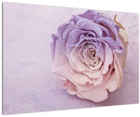 Egy rózsa virág részlete (90x60 cm)