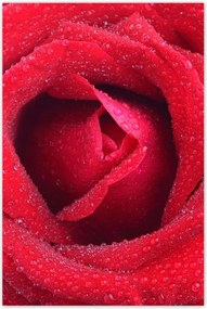 Poszterek 80x120 Nőnap Ajándék Love