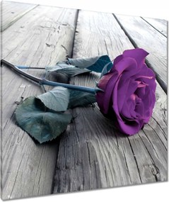 Vászonkép 80x80 Lila rózsa Padló