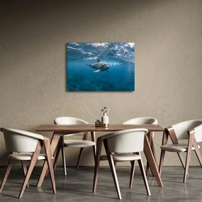 Kép - Delfin a felszín alatt (70x50 cm)