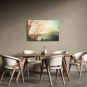 Kép - Növények eső után (90x60 cm)