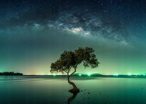 Zorza poszter B2 50x70cm kép #151