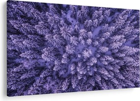 Havas fák képe (90x60 cm)