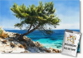 Fotótapéta Flizelina Tájkép Tenger Tengerpart Szikla Fa 350x250 ragasztó