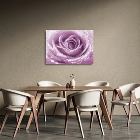 Egy rózsa virág részlete (üvegen) (70x50 cm)