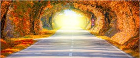 Kép - kapu a fák koronájából (120x50 cm)